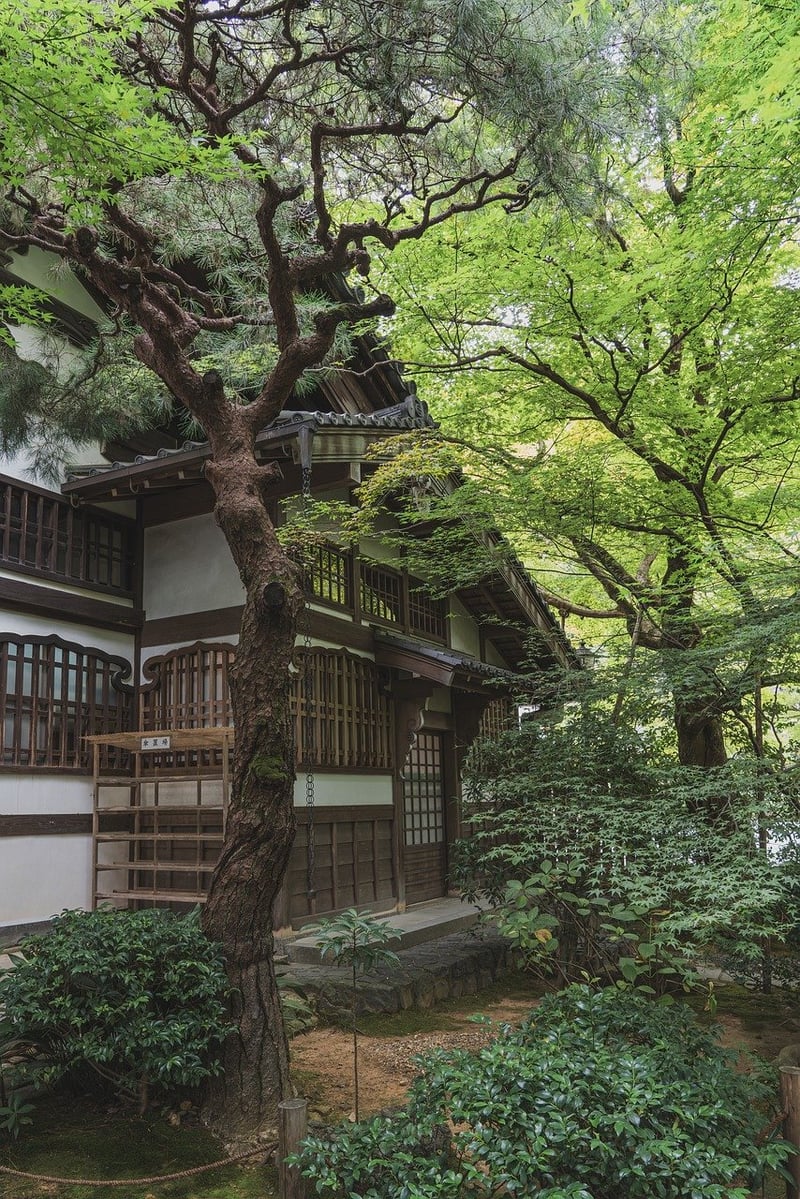 Zen Shrubs